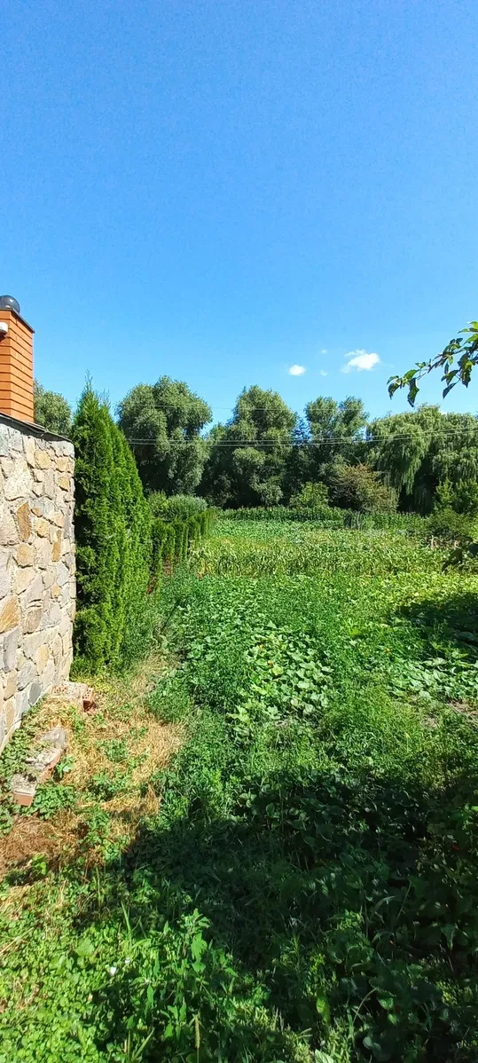 Будинок, Тетіїв: 10 соток, центр міста, житловий стан - фото 5