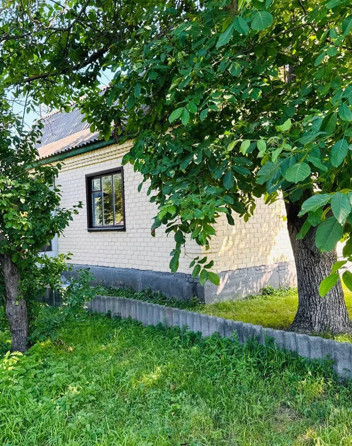 Будинок, Миргород: гараж, 6 соток, свердловина - фото 3