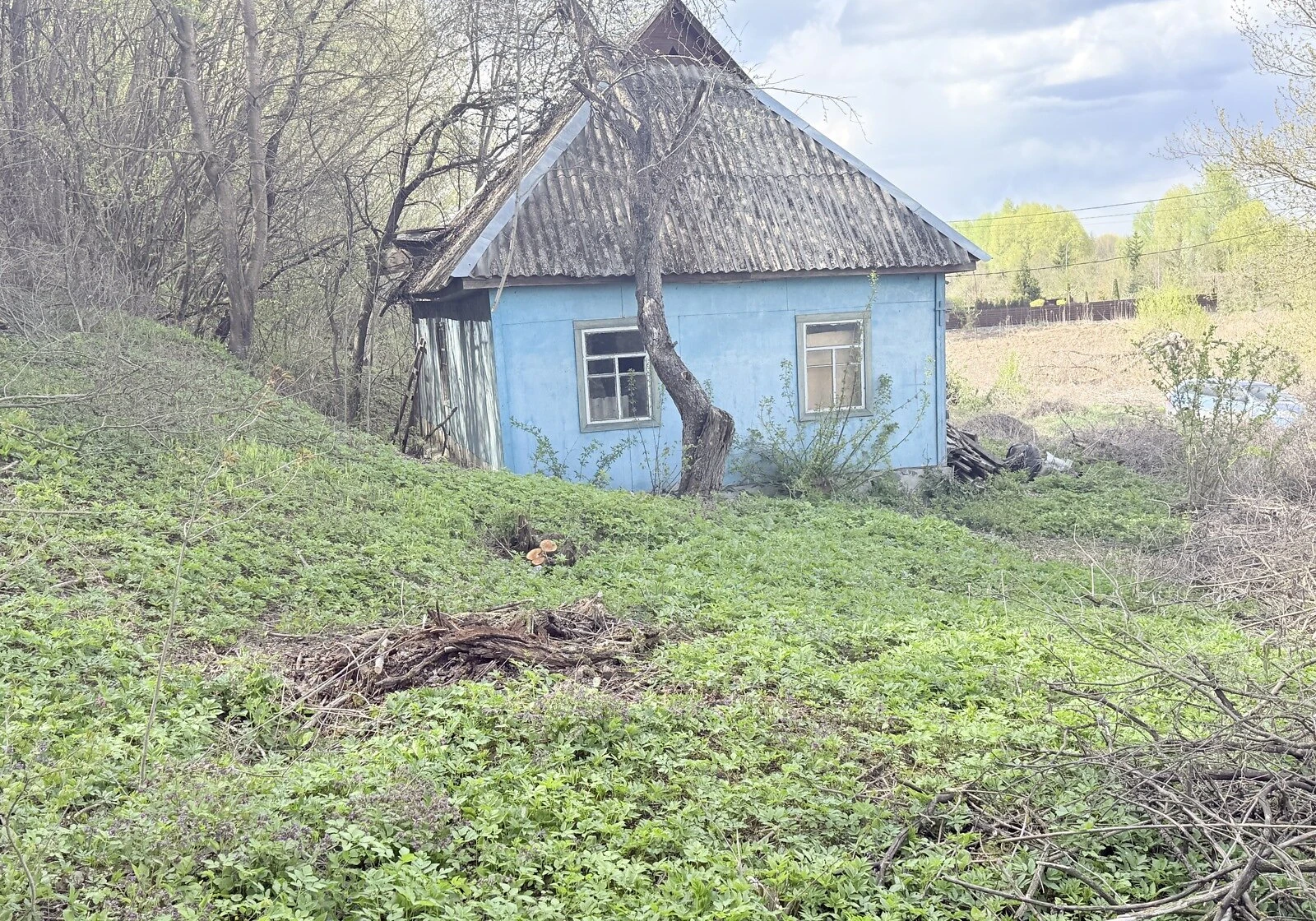 Дом, Новые Безрадичи: участок 70 соток, стены из дерева и кирпича, фото 5