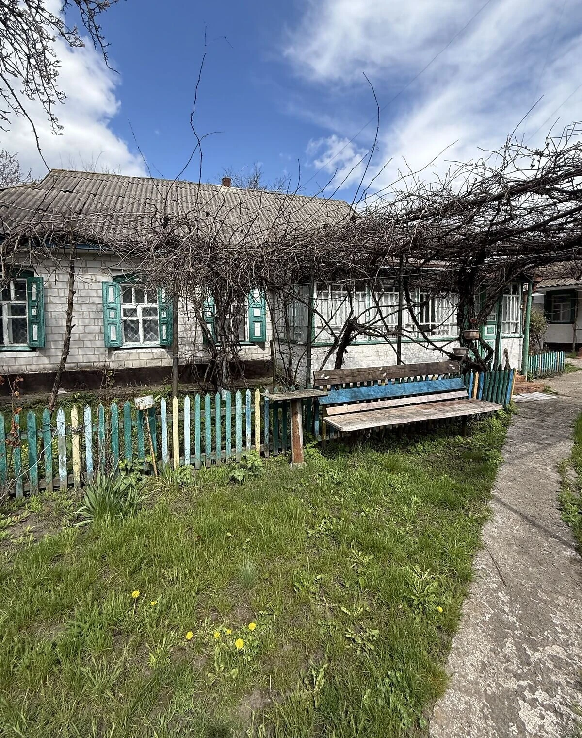 Будинок, Бреусівка: літня кухня, цегляні стіни, фото 5