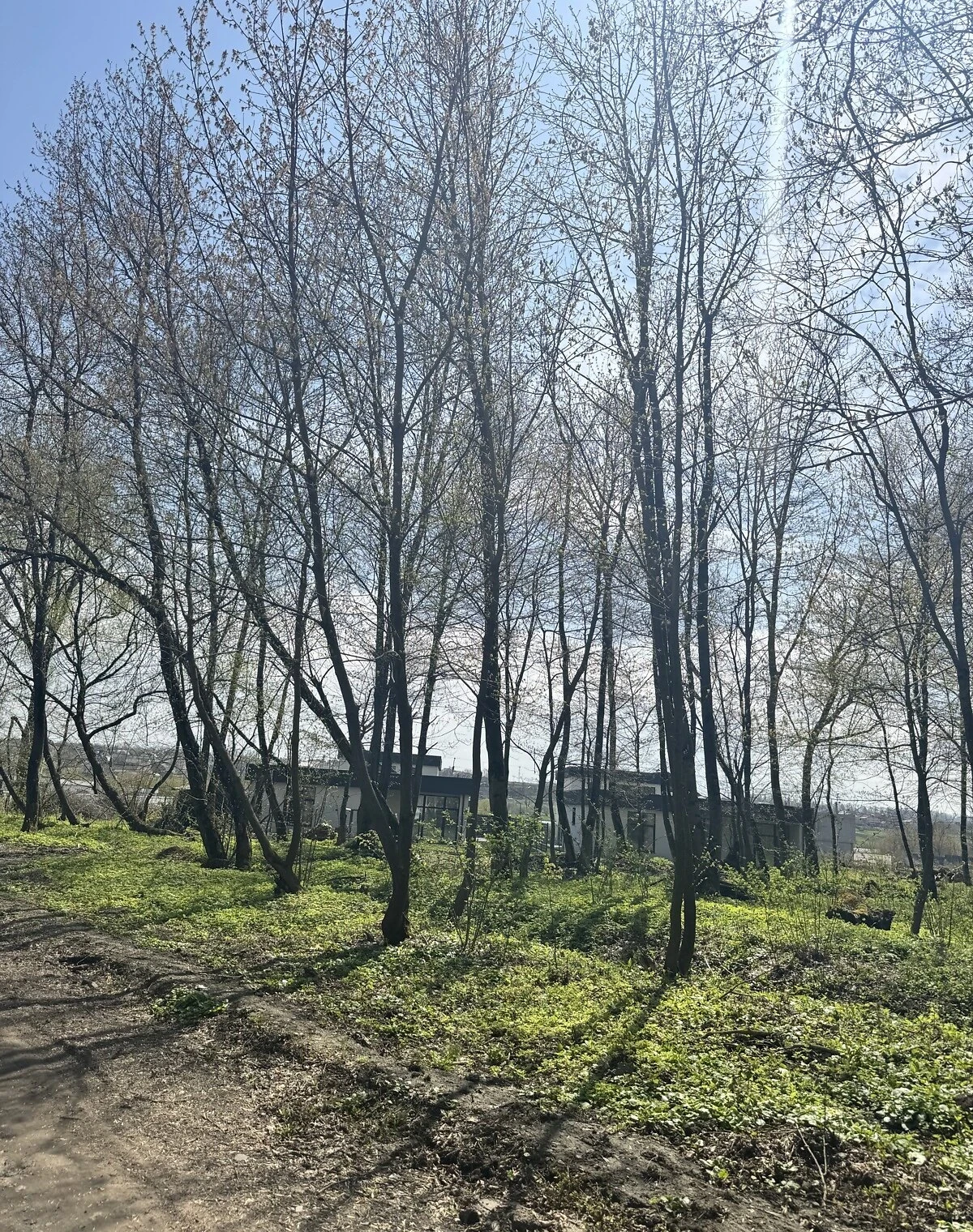 Ділянка 12 соток, Хмельницький: під житлову забудову, штучне озеро