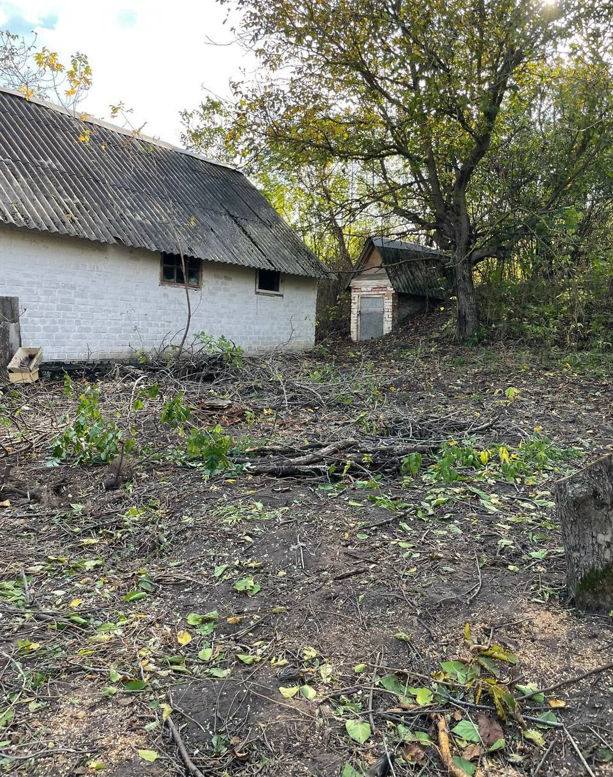 Ділянка 63 сотки, Верем'я: під житлову забудову, криниця - фото 2