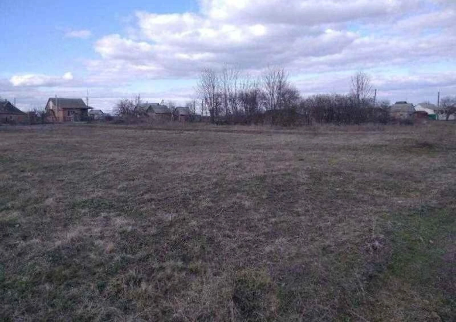 Ділянка 10 соток, Рибці: під житлову забудову, сад - фото 3