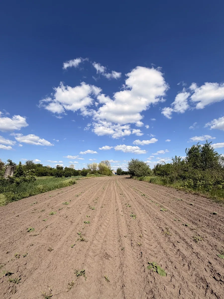 Будинок, Слободо-Петрівка: літня кухня, сад і город - фото 3