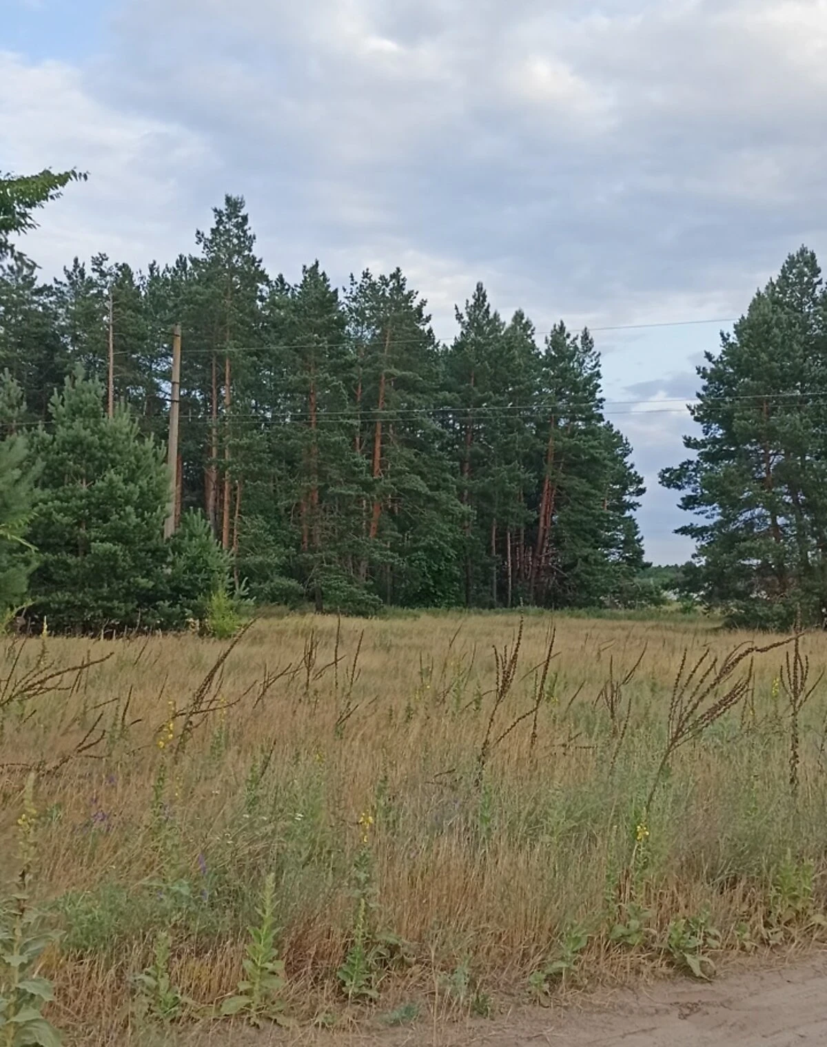Ділянка 24.96 сотки, Вергуни: житлова забудова, під гараж, біля гір - фото 2