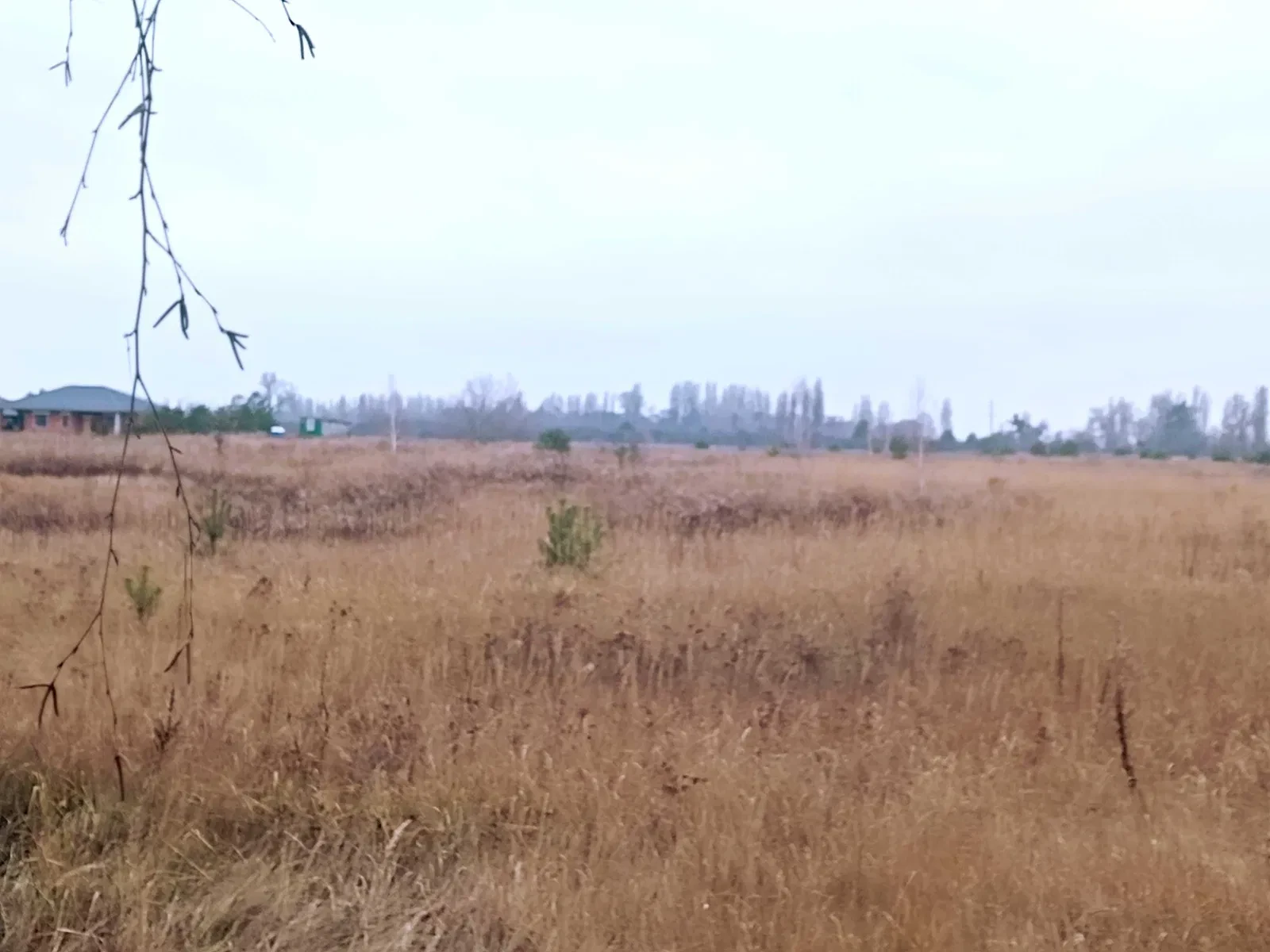 Ділянка 424 сотки, Петропавлівське: електрика, газ - фото 1
