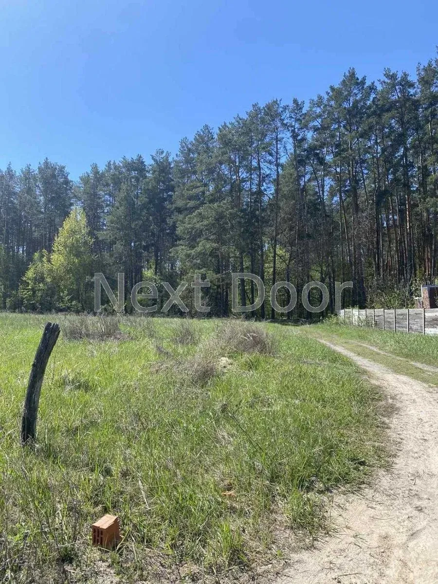 Будинок, Гаврилівка: до Києва 30 км, ліс за 30-40 м, фото 4