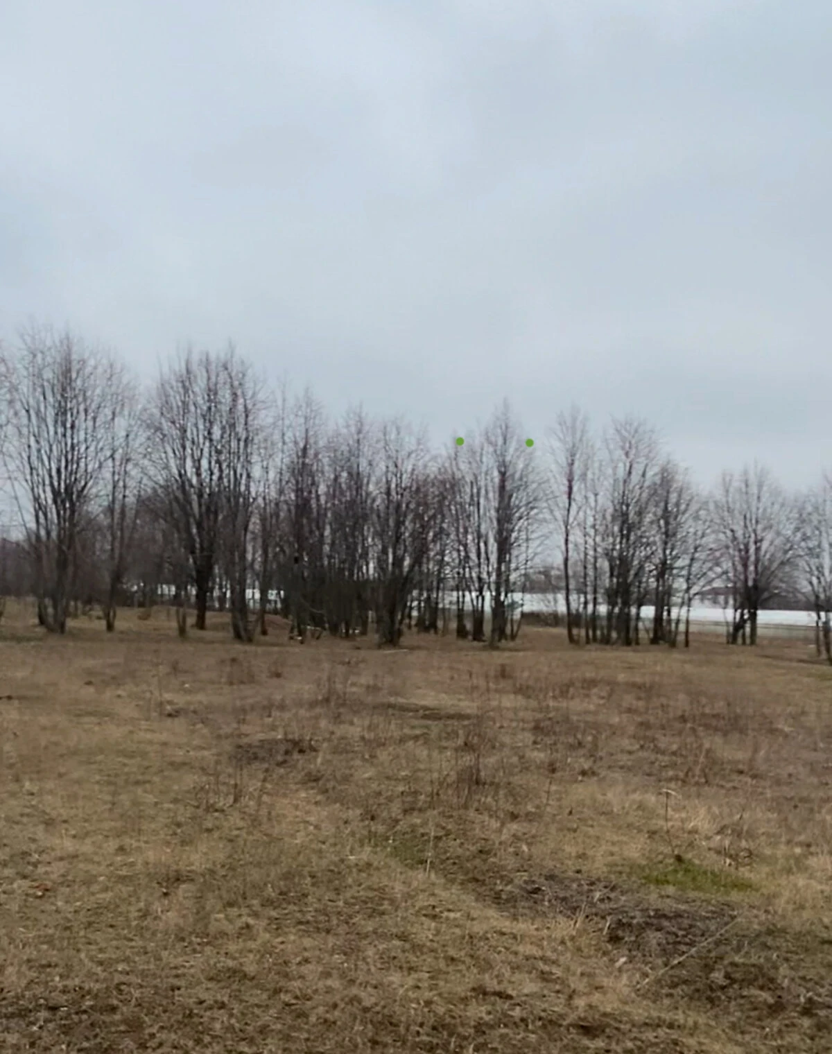 Ділянка 9.39 соток, Новокодацький: під житлову забудову, під гараж - фото 2