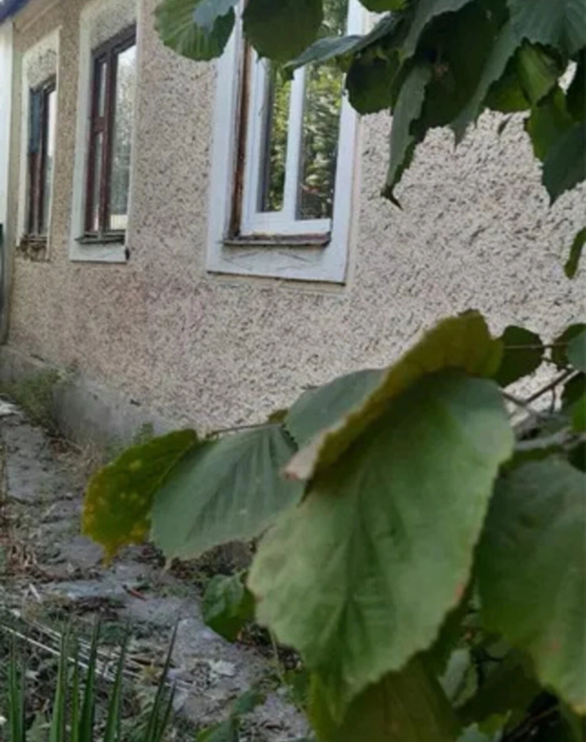 Будинок, Олександрівка: цегляні стіни, сад і город - фото 3