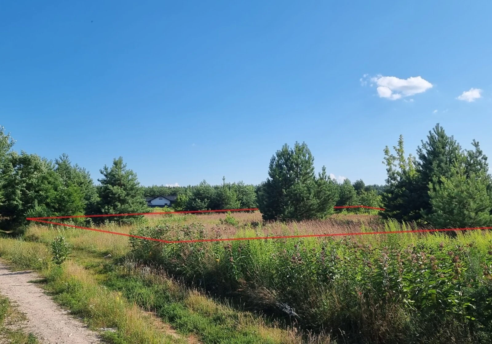 Ділянка 24.6 соток, Бобриця: під житлову забудову, торг можливий - фото 4