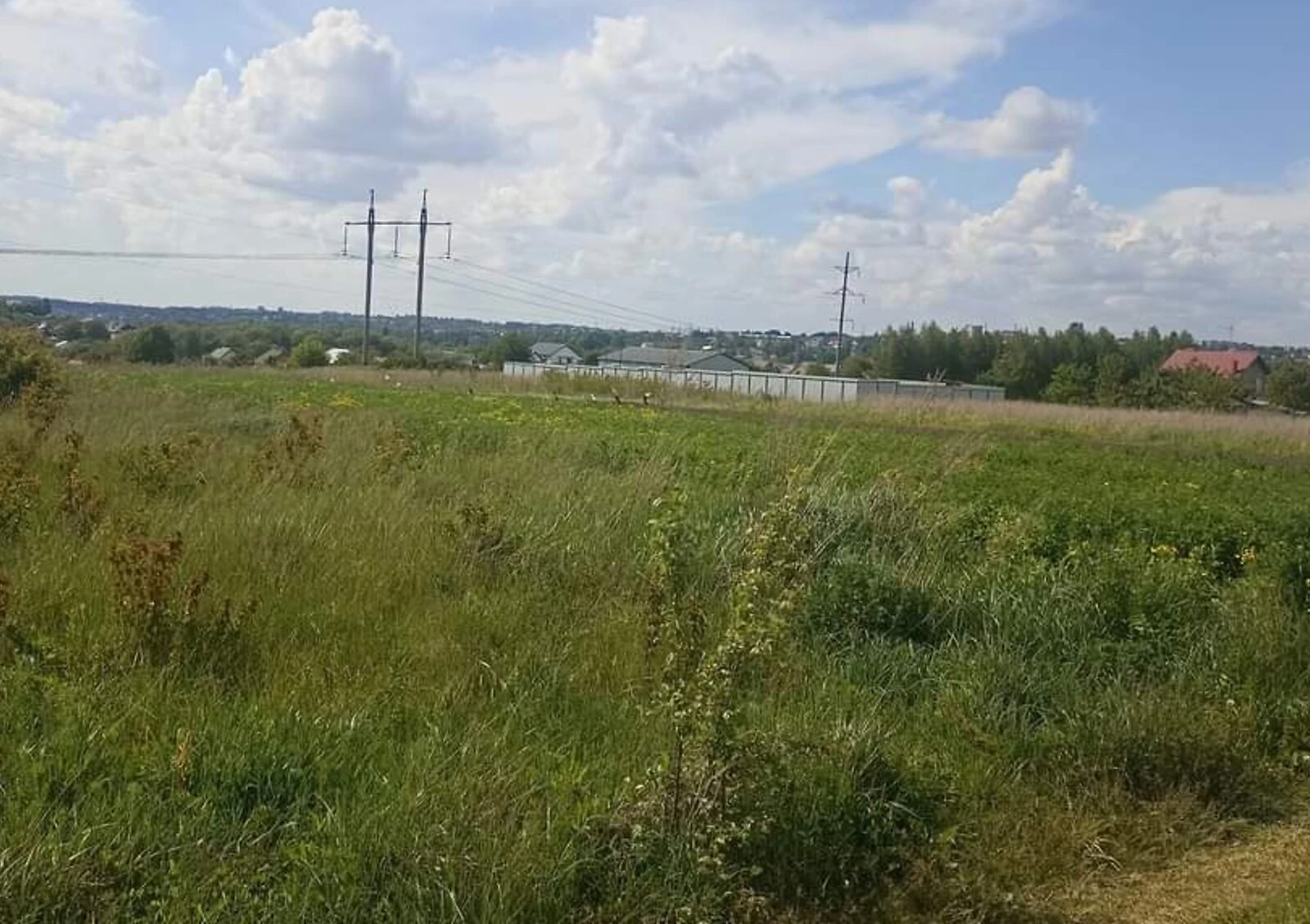 Ділянка 8.8 соток, Ружична: сільськогосподарське призначення, чорнозем