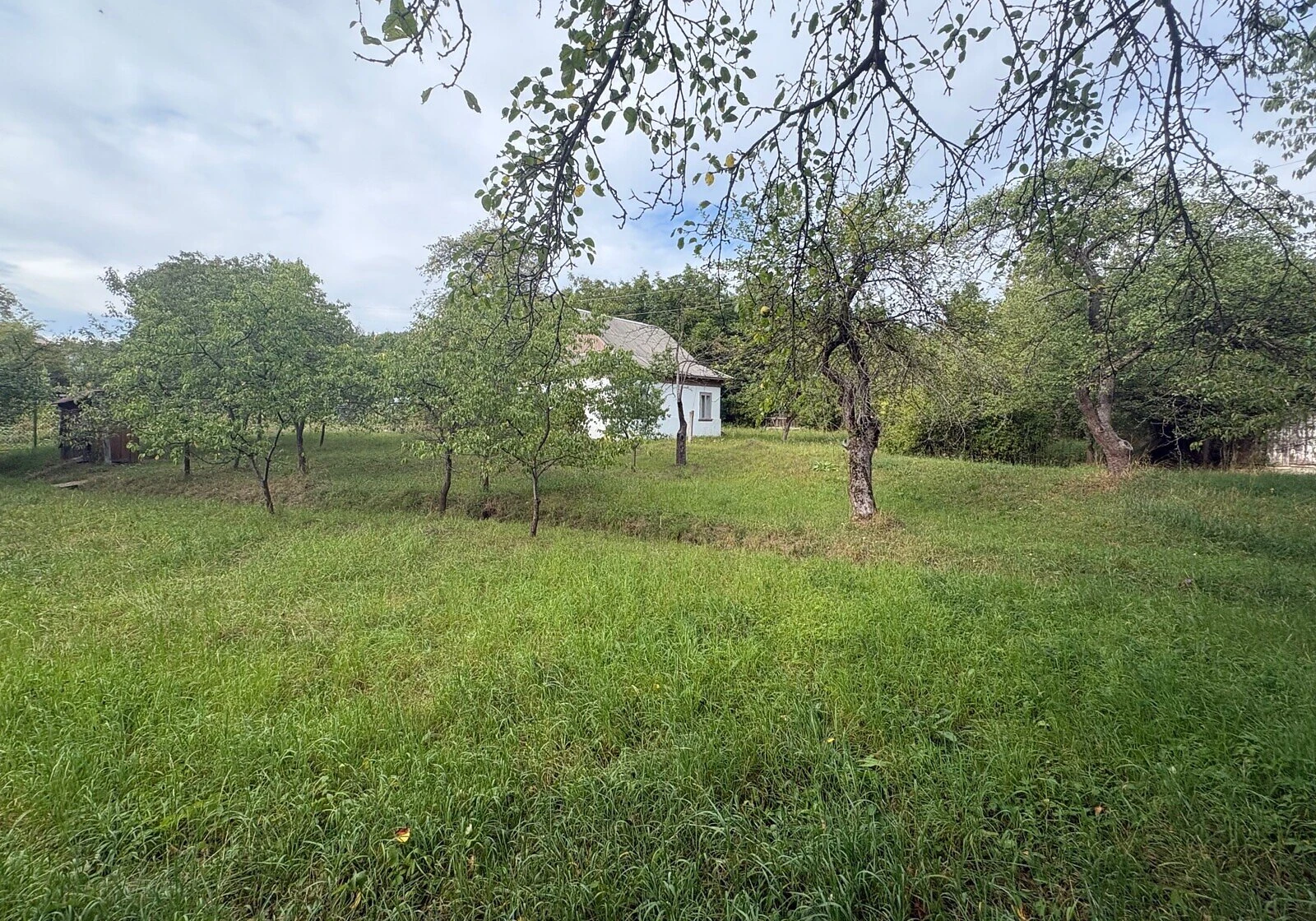 Дача, Делятин: гараж у дворі, свердловина, камін, фото 4