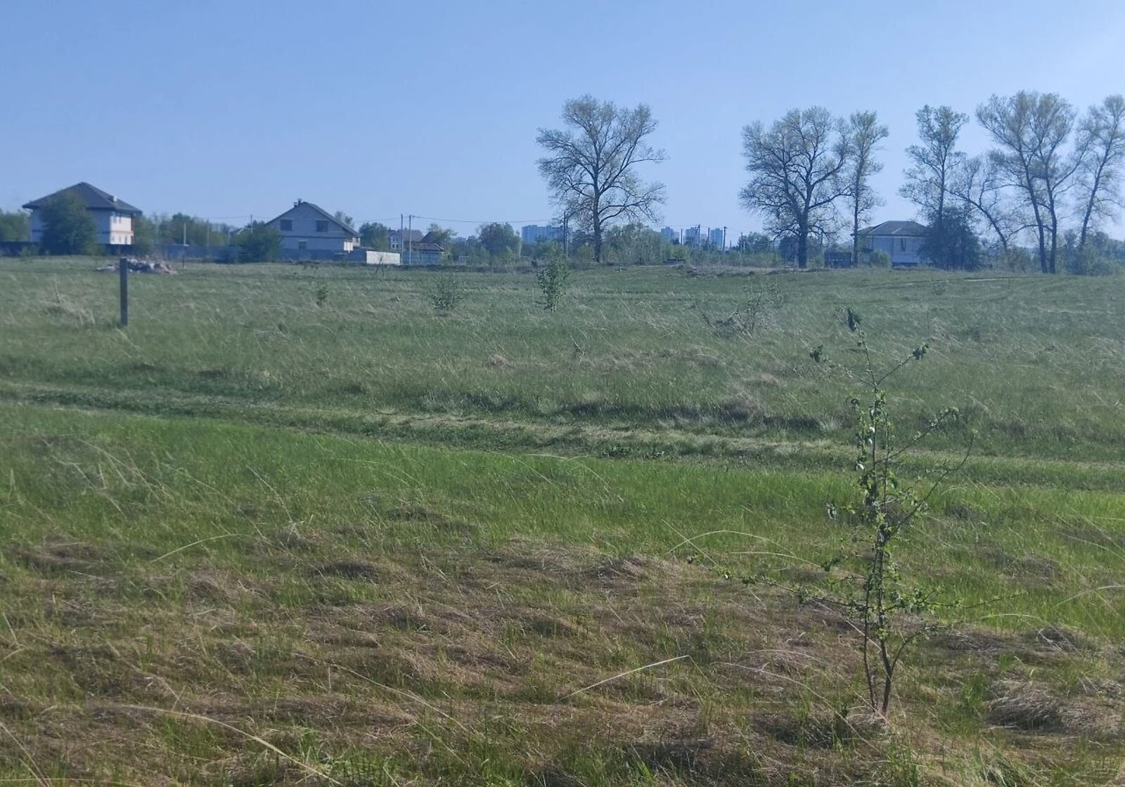 Ділянка 11.24 сотки, Погреби: під житлову забудову, електрика, фото 3