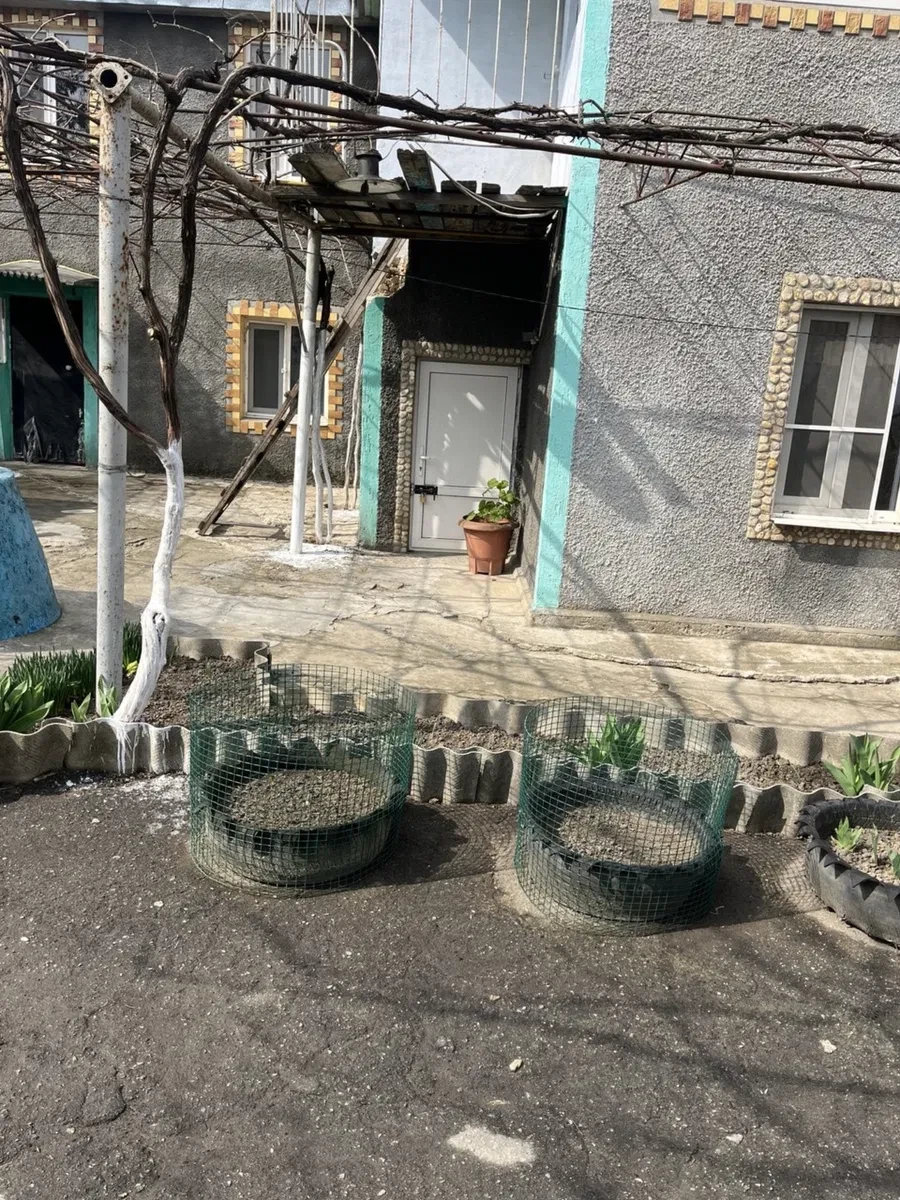 Будинок, Прибужани: гараж, басейн, 15 соток, фото 2