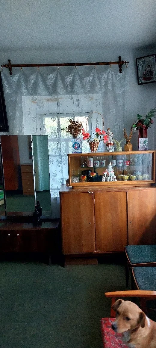 Дом, Болеславчик: бассейн, 30 соток, газовое отопление, фото 4