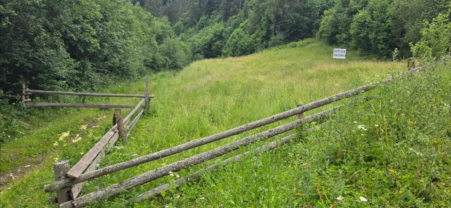 Ділянка 16 соток, Нижній Рожанці: електрика, огорожа - фото 2