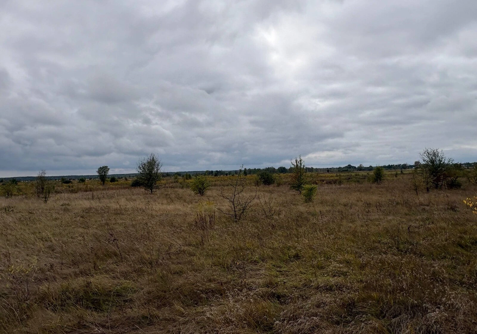 Ділянка 99 соток, Нижча Дубечня: 175 м завдовжки, 55 м завширшки, фото 5