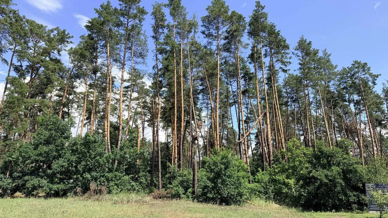 Ділянка 12,5 соток, Кедина Гора: під забудову, 100 м до Дніпра - фото 3