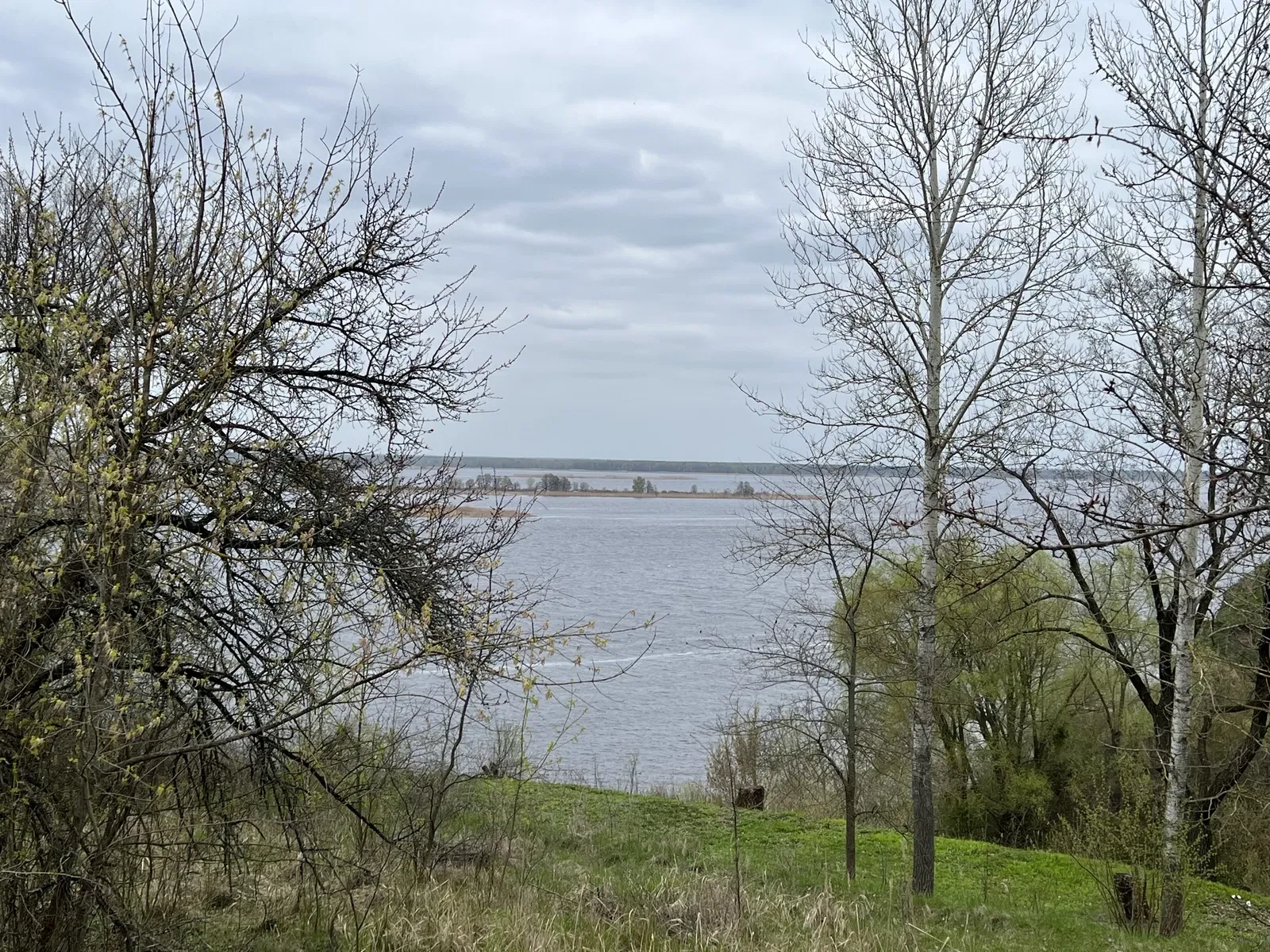 Ділянка 49 соток, Ржищів: берег Дніпра, для життя або бази відпочинку - фото 1