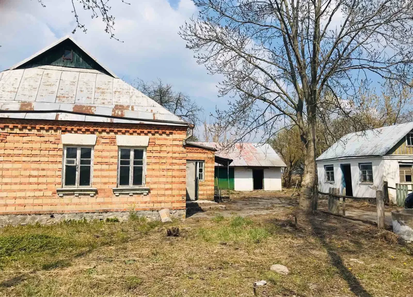 Ділянка 25 соток, Ставище: старий цегляний будинок, гараж, фото 3