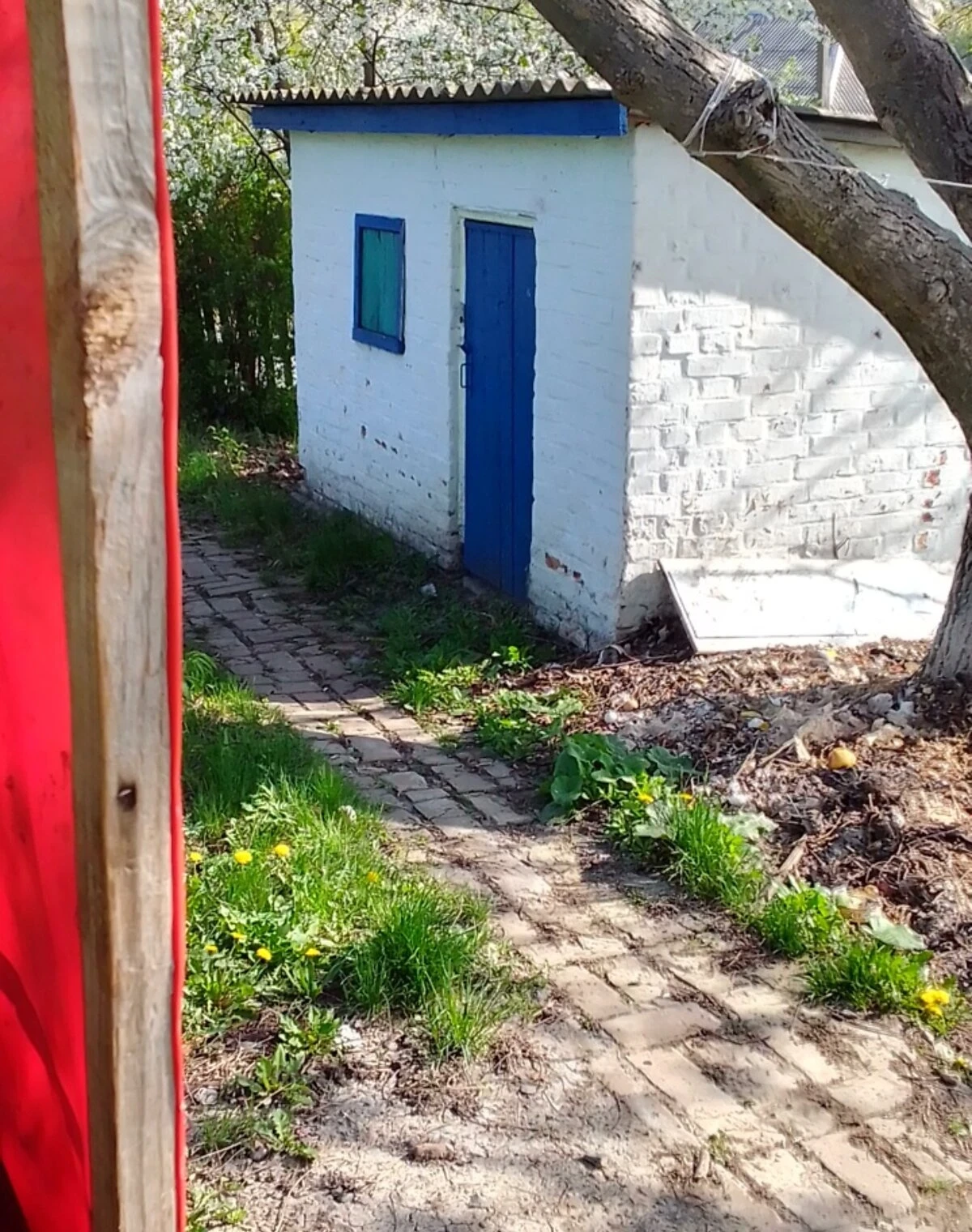Будинок, Стецівка (Звенигородка): пічне опалення, окремий вхід - фото 4