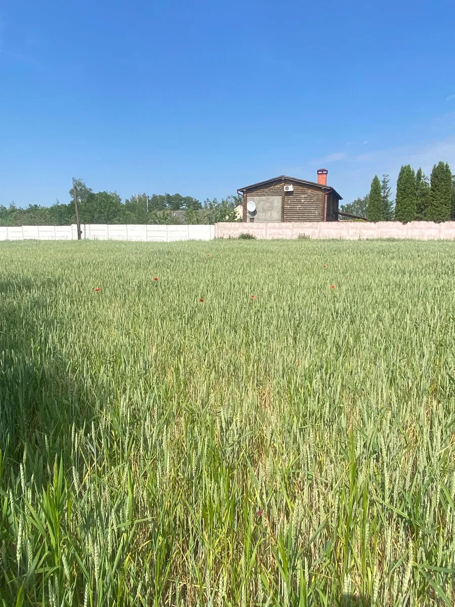 Будинок, Привороття: літня кухня з сауною, сад і виноградник, фото 3