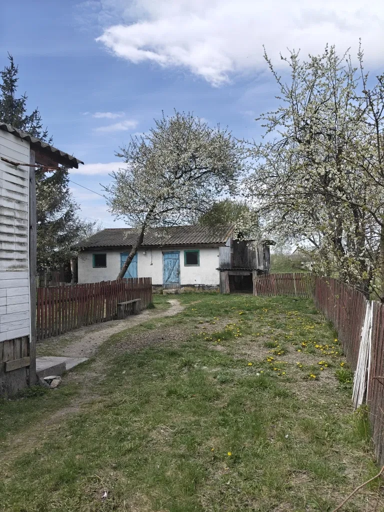 Будинок, Садки: 29 соток, колодязь, асфальтований під'їзд - фото 4