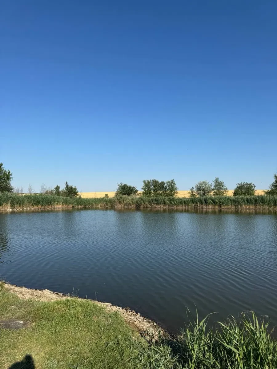 Ділянка 2.70 соток, Степанівське: ставок, водний фонд, фото 3