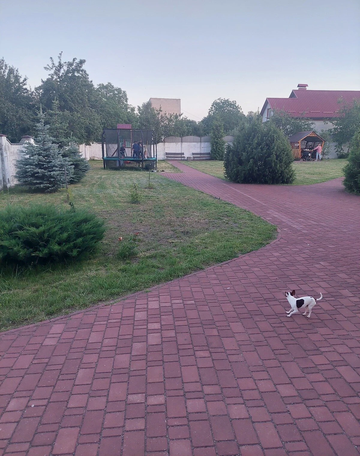 2-комнатная квартира, Звягель: кухня-студия, евроремонт, єОселя - фото 2