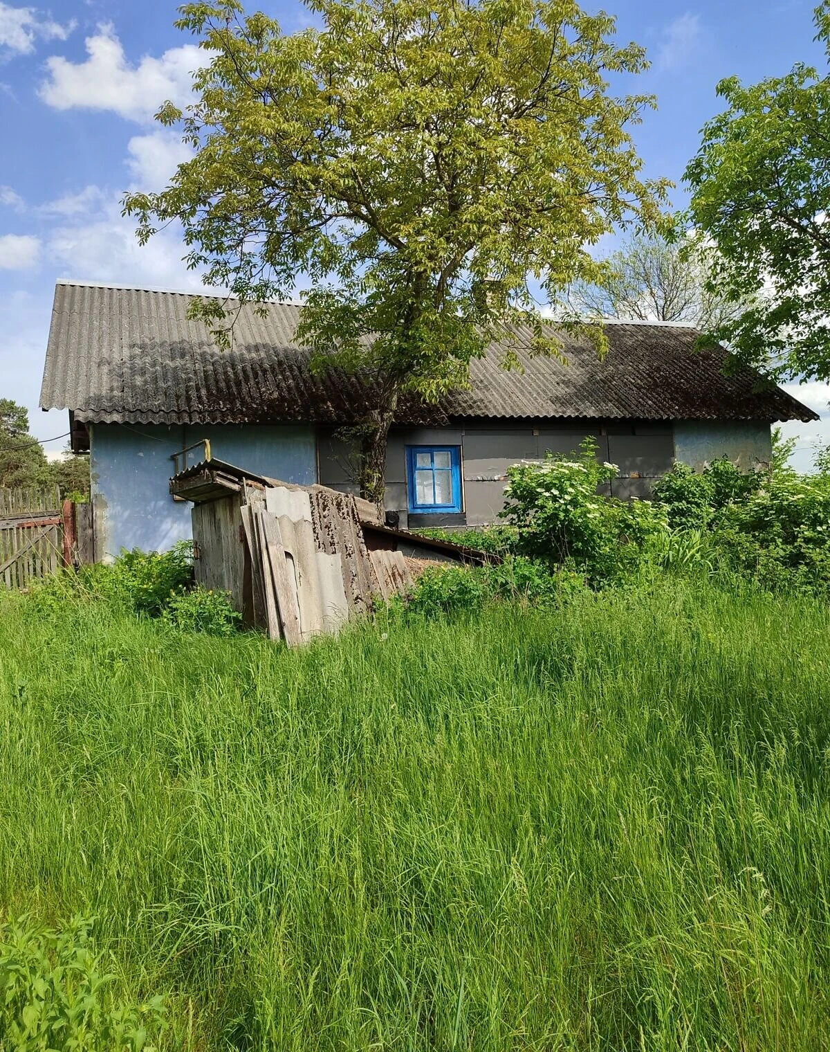 Будинок, Сидинівка: цегляні стіни, ділянка 30 соток, фото 5