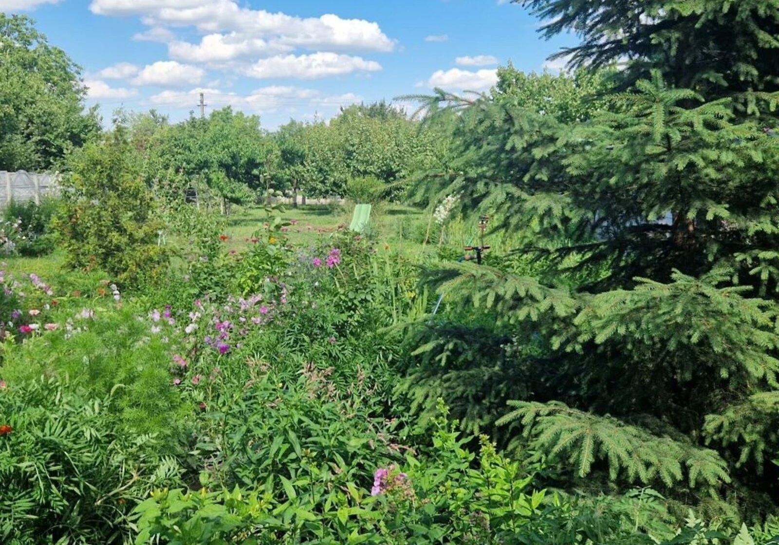 Дача, Миколаївка (Васильківка): гараж, бесідка, балкон - фото 2