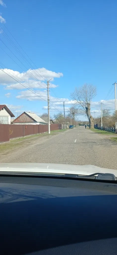 Ділянка 38 соток, Бабинці: під забудову, газ по вулиці - фото 4