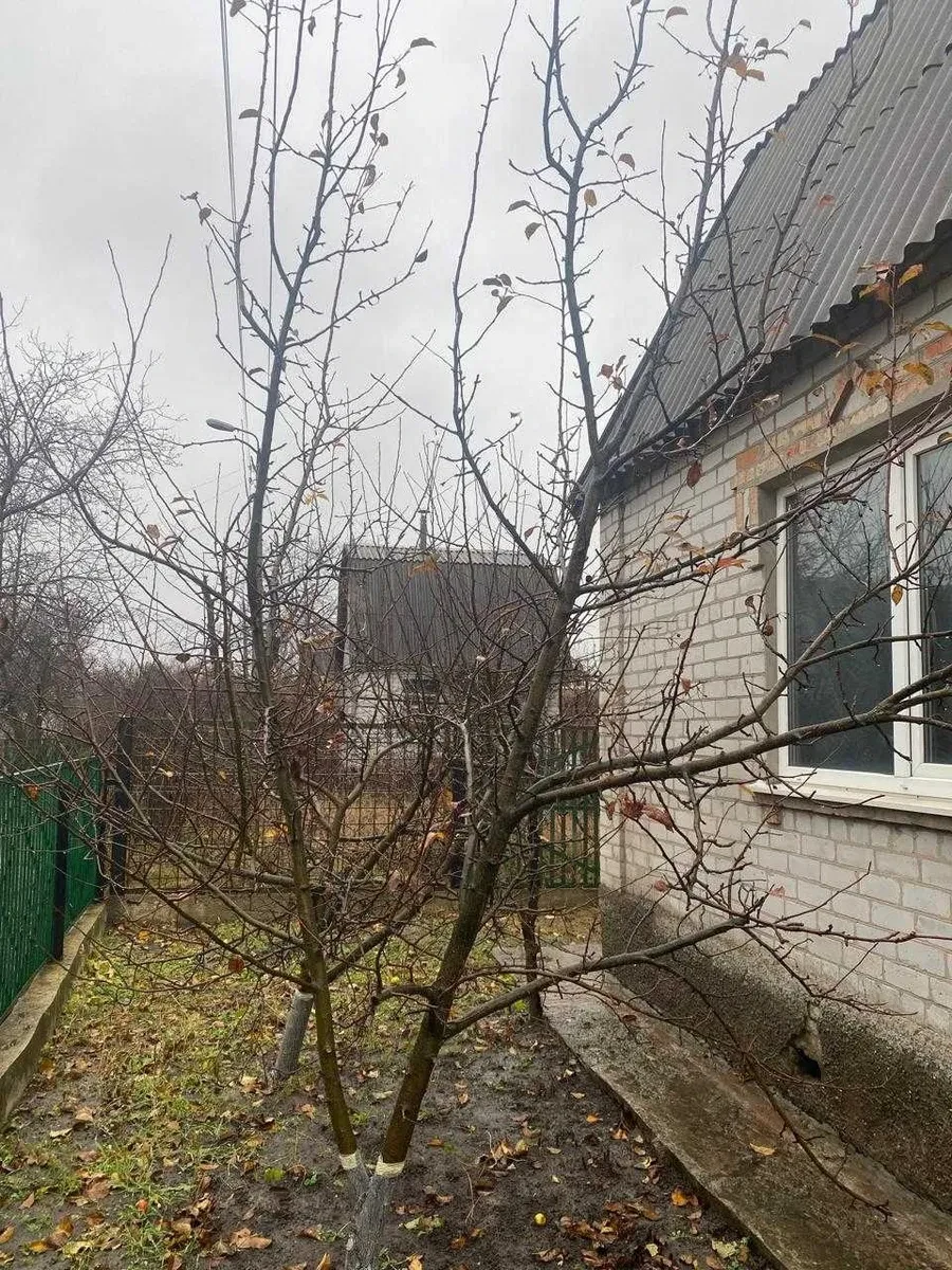 Дача, Вільнокур'янівське: опалення без електрики, альтанка 6 на 6 м, фото 3