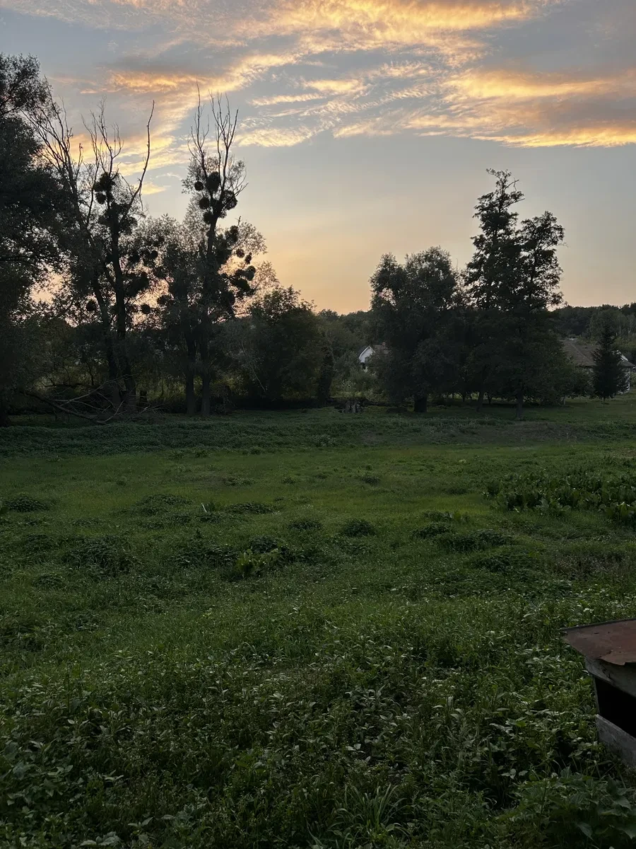 Ділянка 86 соток, Старі Безрадичі: житлова й суспільна забудова - фото 4