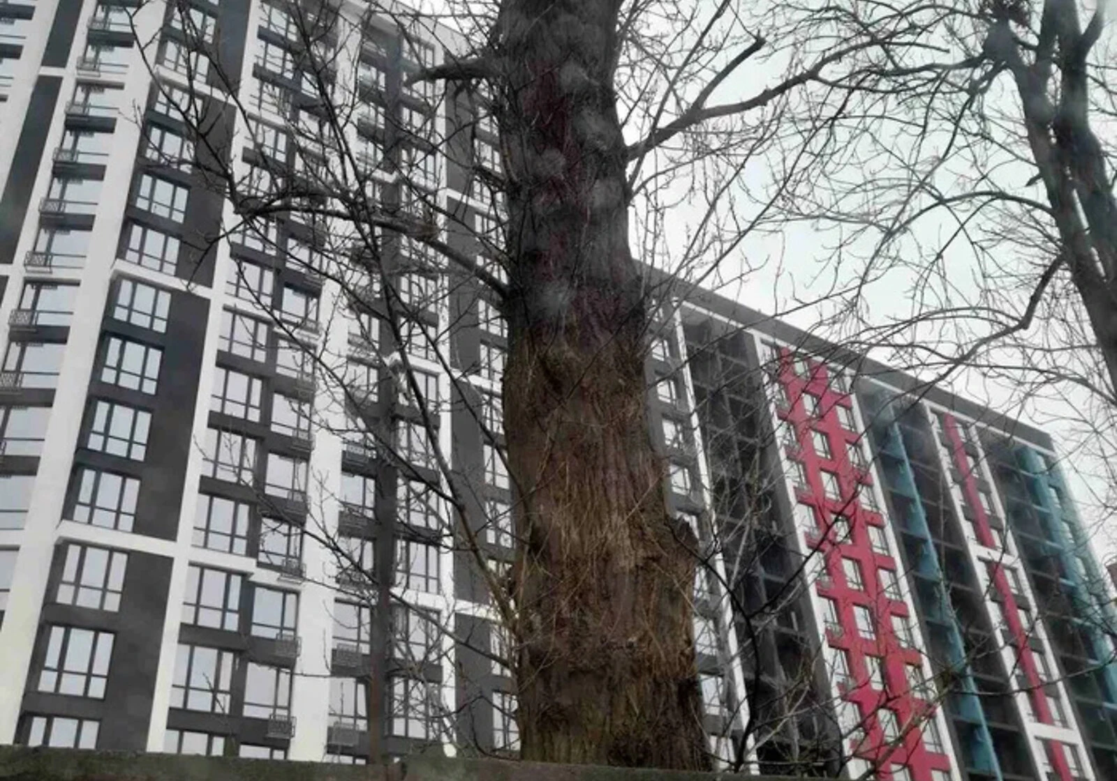 1-комнатная квартира, Ивано-Франковск: новостройка, кухня 13,3 м² - фото 1