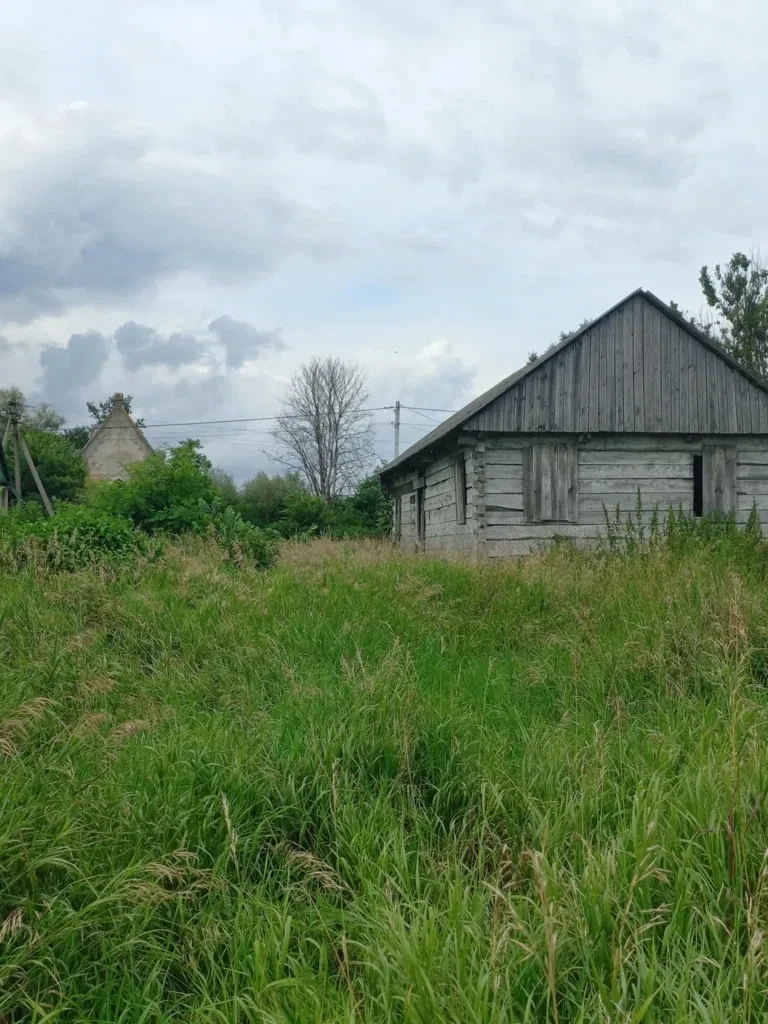 Ділянка 15 соток, Луків: каркас дерев'яного будинку, поруч ліс - фото 4
