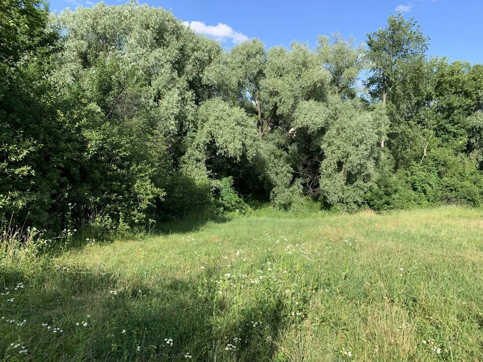 Ділянка 20 соток, Полтава: вид на ставок, 1 км від траси Київ-Харків - фото 2