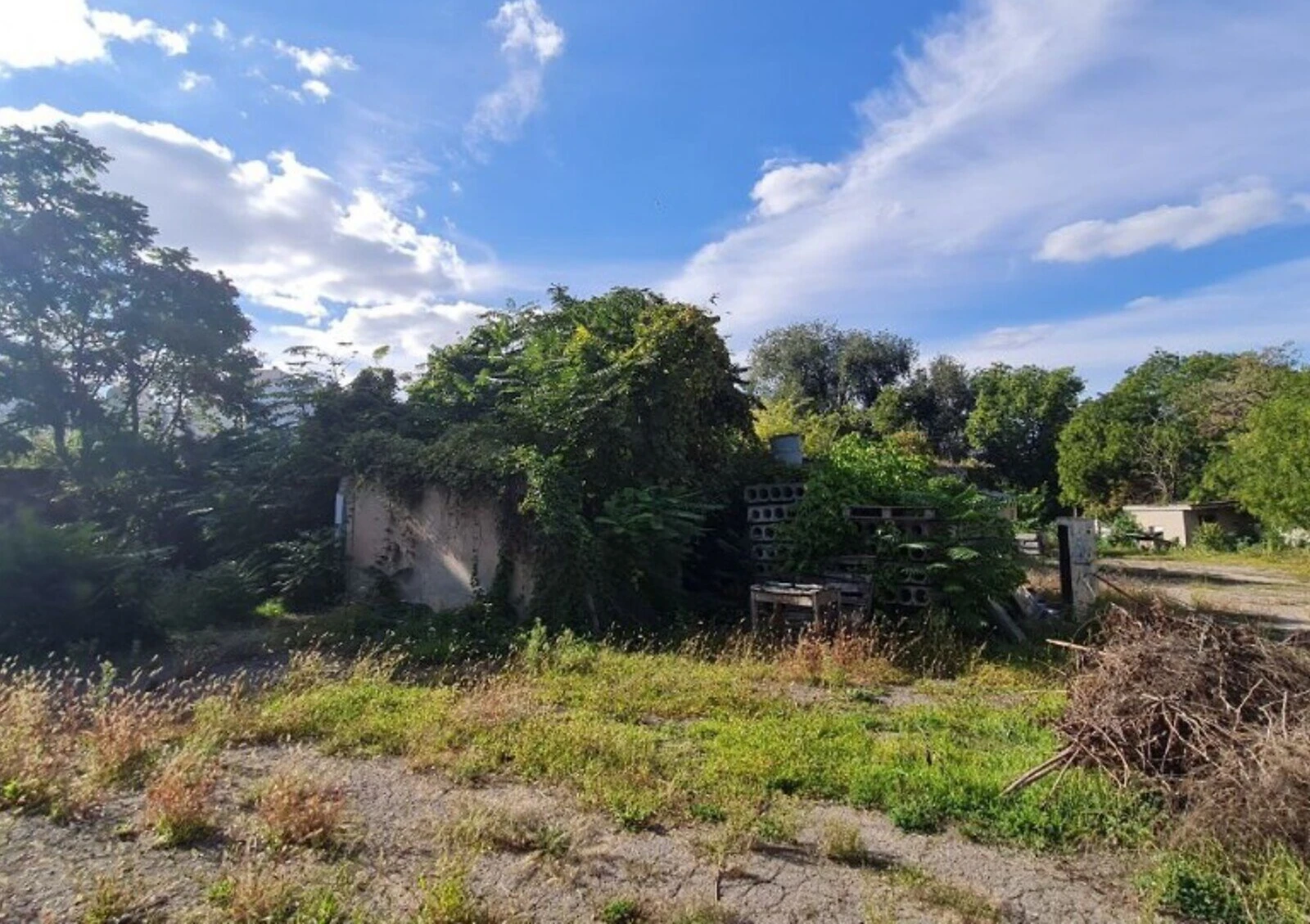 Ділянка 32 соток, Приморський: під житлову забудову, газ та електрика, фото 5