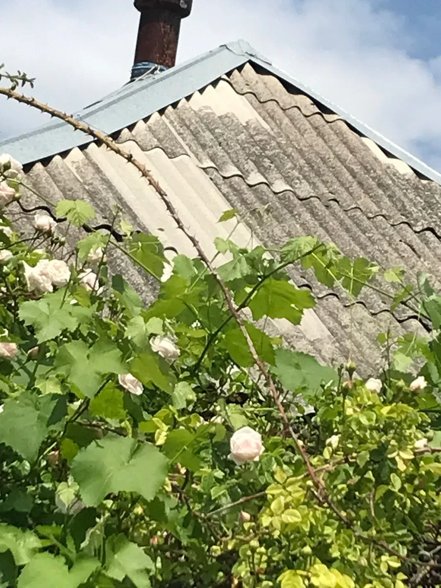 Дача, Печеніги: гараж, літня кухня, 10 соток