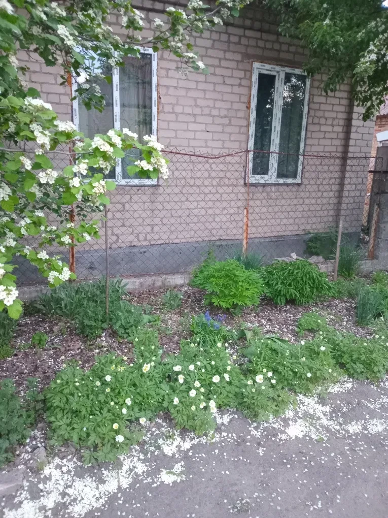 Частина будинку, Новокодацький: світло 24/7, гараж, єОселя - фото 1