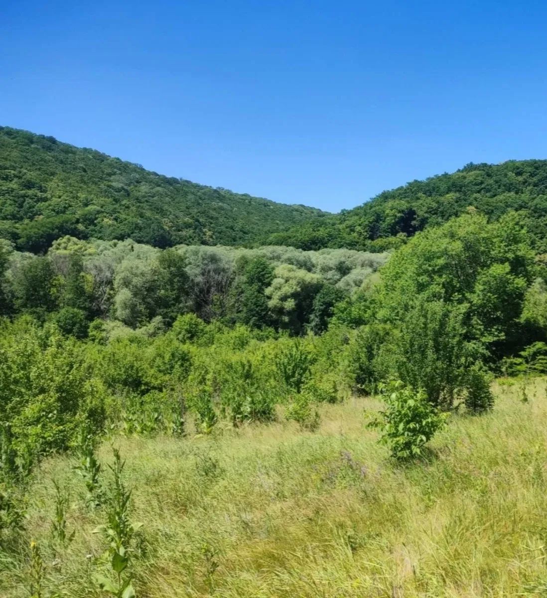 Ділянка 160 соток, Суржинці: проєкт медичного SPA-курорту - фото 4