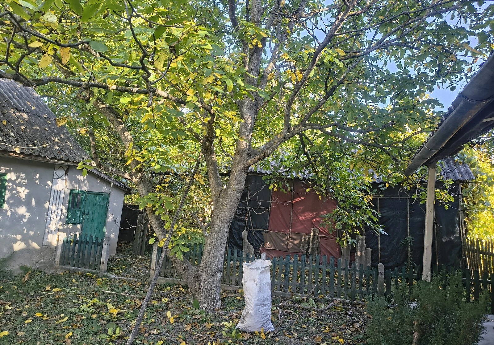 Будинок, Малі Коростівці: веранда, ділянка 42 сотки, фото 4