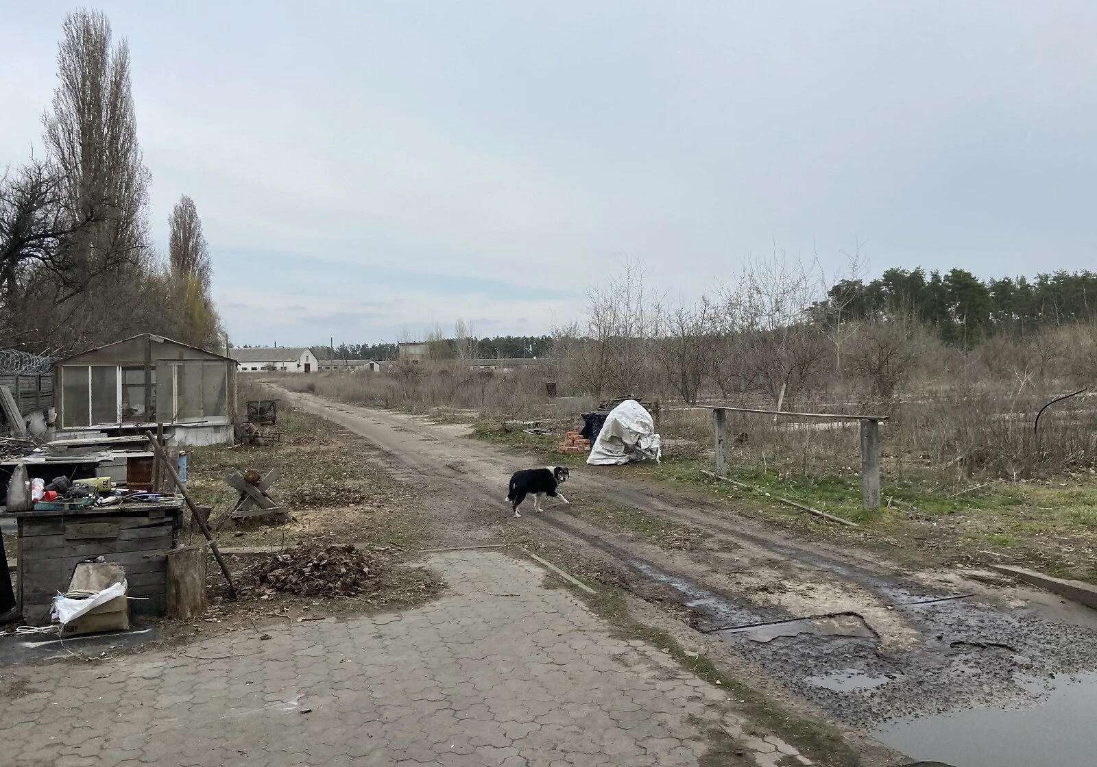Приміщення, Кедина Гора: ангар, 16 приміщень, торг можливий - фото 2