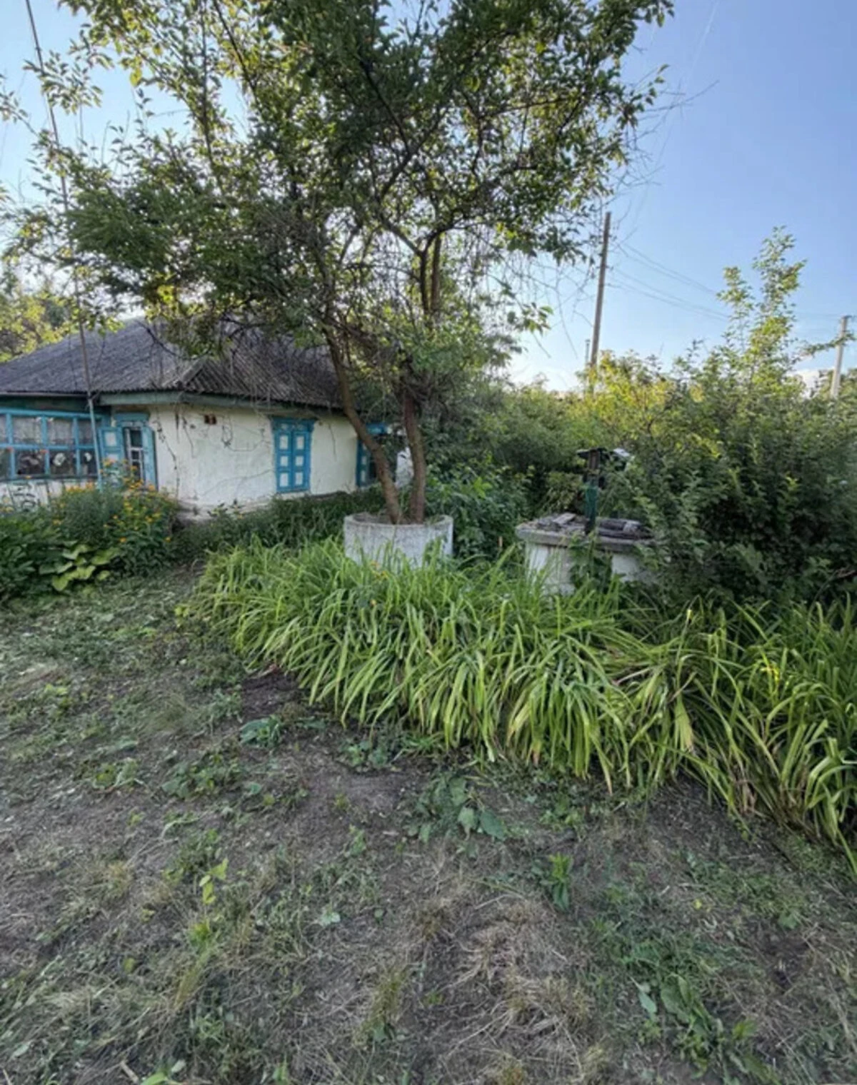 Будинок, Вільна Терешківка: веранда, 32 сотки, торг, фото 3