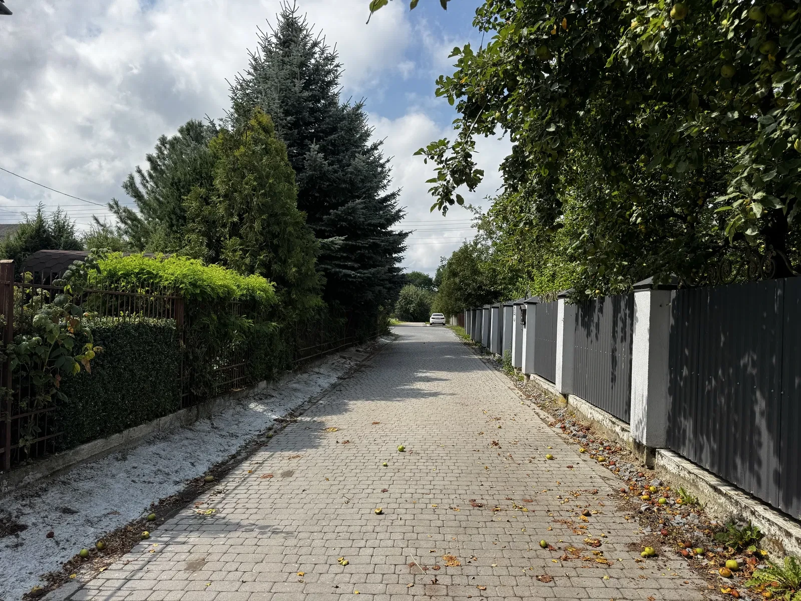 Ділянка 0.32 соток, Басівка: під будинок, світло, газ і вода - фото 3