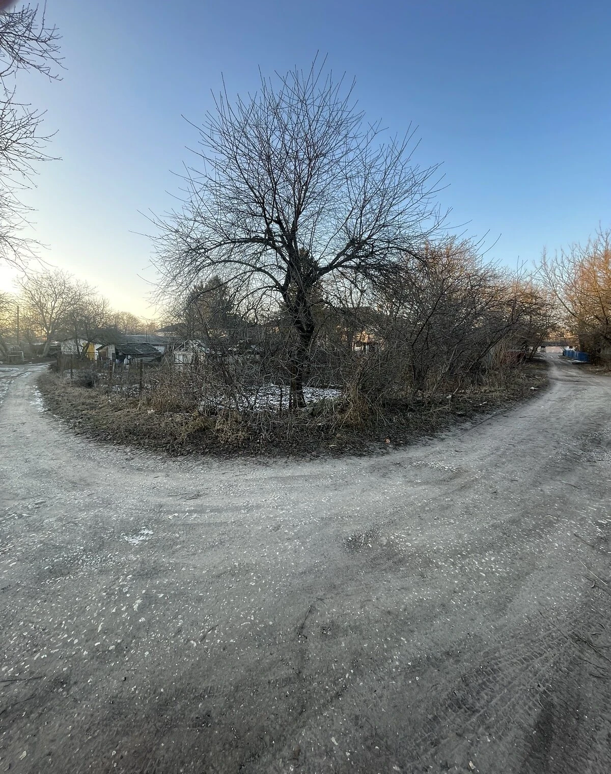 Ділянка 20 соток, Цукровий завод: під житлову забудову, сад - фото 4