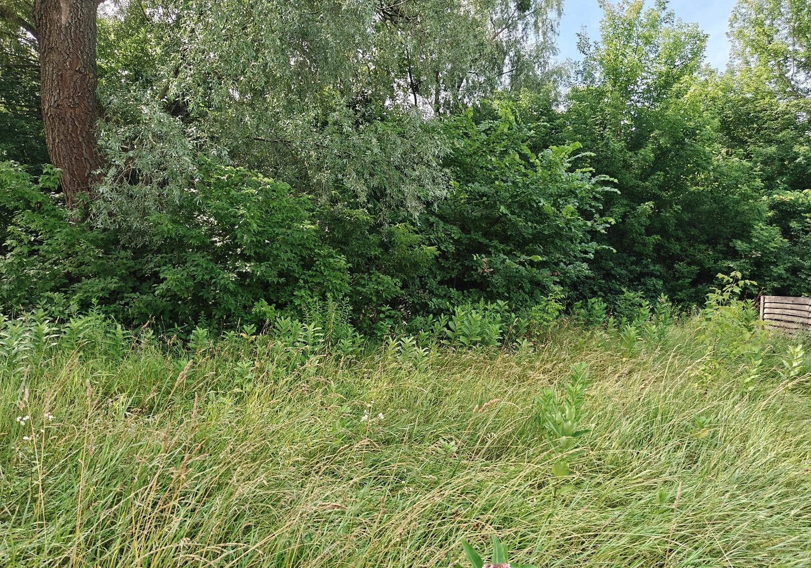 Ділянка 12 соток, Копачів: під гараж, індивідуальне садівництво - фото 3
