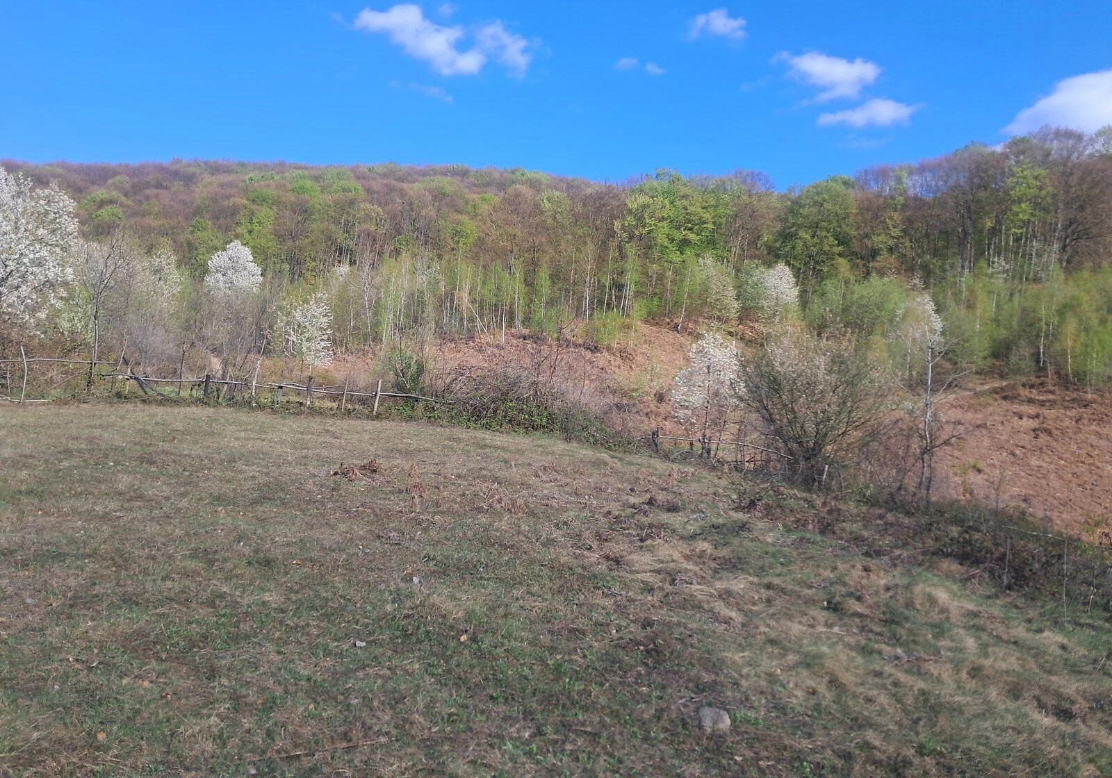 Ділянка 200 соток, Луково: гірський рельєф, криниця, фото 4