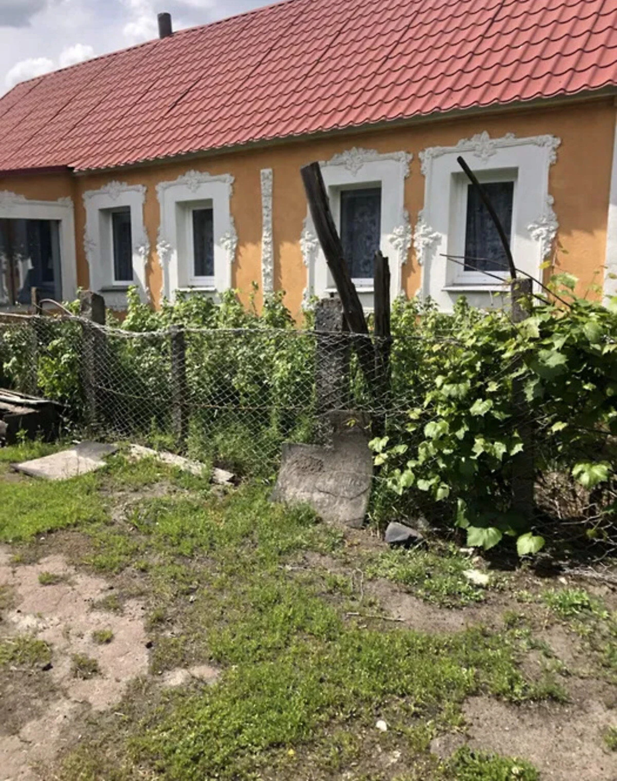 Будинок, Заньки: ділянка 60 соток, сад, літня кухня - фото 1