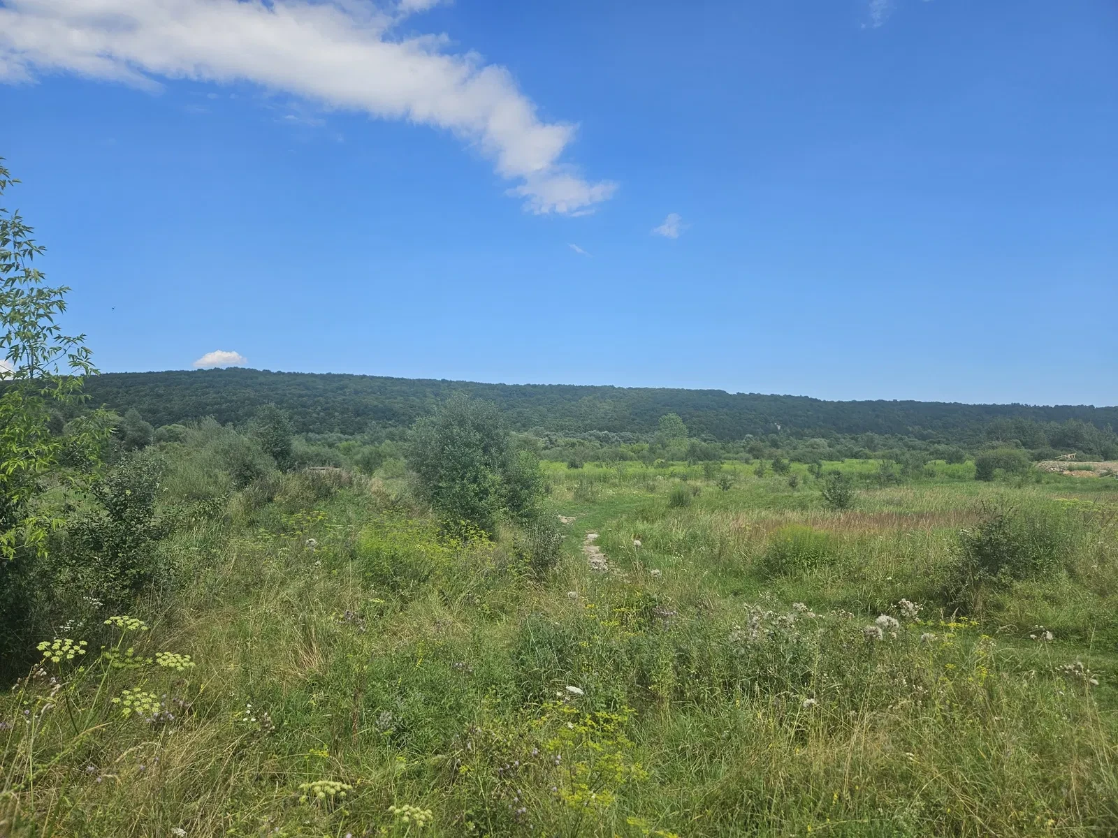 Ділянка 35 соток, Клузів: світло 30 кВт, каналізація 15 м - фото 1
